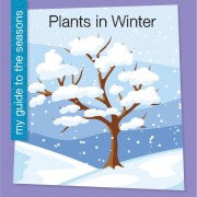 Cover-Bild zum Titel 'Plants in Winter' von 'Rebecca Felix'