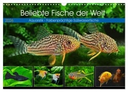 Cover-Bild zum Titel 'Beliebte Fische der Welt (Wandkalender 2026 DIN A3 quer), CALVENDO Monatskalender' von 'Rudolf Pohlmann'
