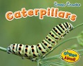 Caterpillars - Rebecca Rissman