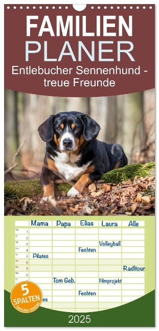 Familienplaner 2025 - Entlebucher Sennenhund - treue Freunde mit 5 Spalten (Wandkalender, 21 x 45 cm) CALVENDO - SchnelleWelten SchnelleWelten