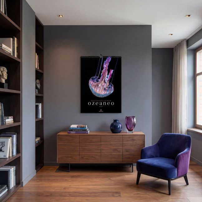 InsideView 14