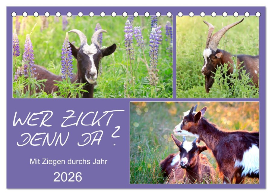Wer zickt denn da? Mit Ziegen durchs Jahr (Tischkalender 2026 DIN A5 quer), CALVENDO Monatskalender - Sabine Löwer