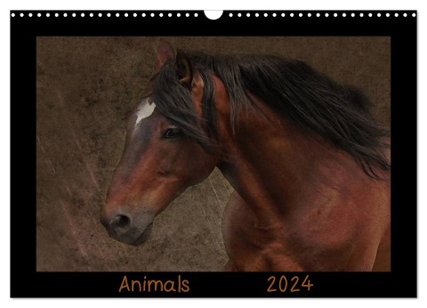 Animals (Wandkalender 2024 DIN A3 quer), CALVENDO Monatskalender - Claudia Möckel Lucy L!u