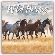 Cover-Bild zum Titel 'Wild Horses - Wildpferde 2026 - Wand-Kalender' von 'Carousel Calendar'