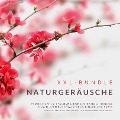 XXL-Bundle: Naturgeräusche - Institut für Entspannungstechniken