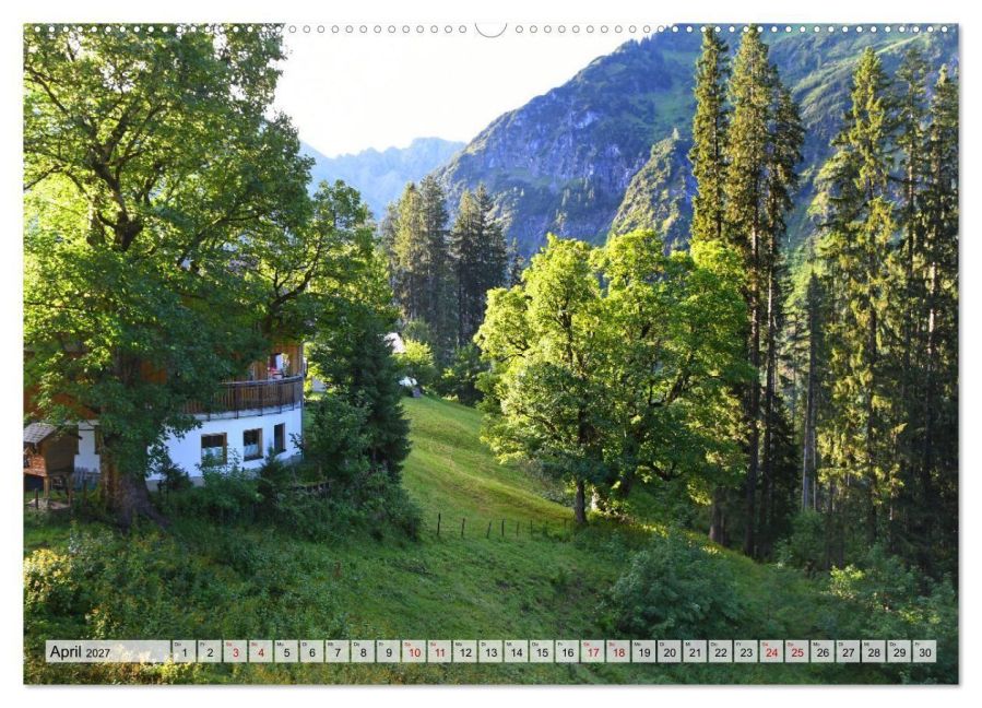 InsideView 8