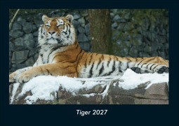 Cover-Bild zum Titel 'Tiger 2027 Fotokalender DIN A4' von 'Tobias Schmitt, Kevin Heber'