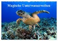 Magische Unterwasserwelten (Wandkalender 2025 DIN A2 quer), CALVENDO Monatskalender - Martin Hablützel