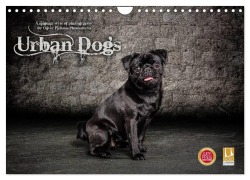 Cover-Bild zum Titel 'Urban Dogs - Hundekalender der anderen Art (Wandkalender 2026 DIN A4 quer), CALVENDO Monatskalender' von 'Oliver Pinkoss Photostorys'