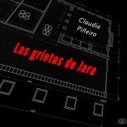 Cover-Bild zum Titel 'Las grietas de Jara' von 'Claudia Pineiro'