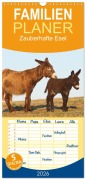 Cover-Bild zum Titel 'Familienplaner 2026 - Zauberhafte Esel mit 5 Spalten (Wandkalender, 21 x 45 cm) CALVENDO' von 'Meike Bölts'