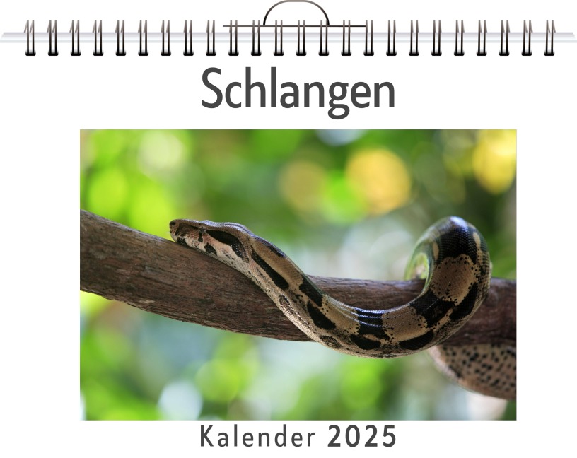 Schlangen - Florian Schäfer
