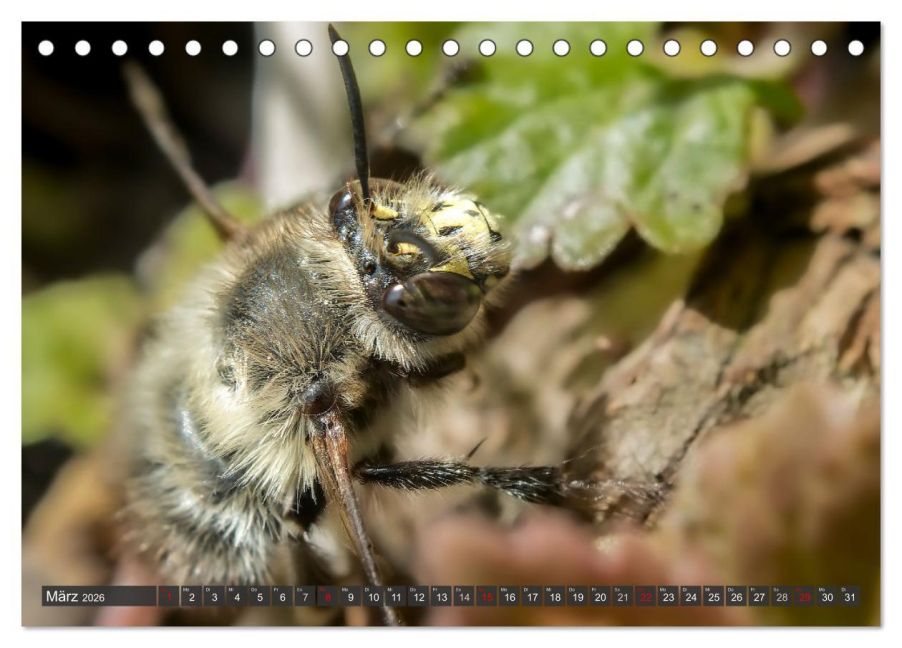 InsideView 8