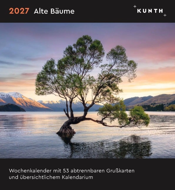Alte Bäume - KUNTH Postkartenkalender 2027 - 