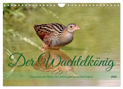 Cover-Bild zum Titel 'Der Wachtelkönig (Wandkalender 2026 DIN A4 quer), CALVENDO Monatskalender' von 'Leo Bucher'