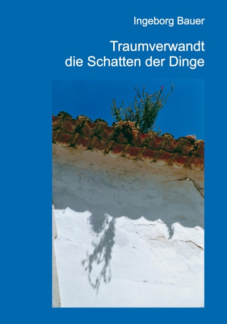Traumverwandt die Schatten der Dinge - Ingeborg Bauer