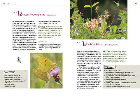 InsideView 7