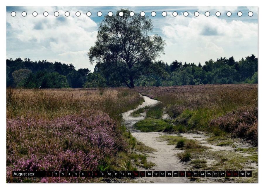 InsideView 13