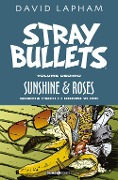Cover-Bild zum Titel 'Sunshine & roses. Quarta parte: I giorni verdi' von 'David Lapham'