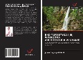 Cover-Bild zum Titel 'EKO-TURYSTYKA I JEJ WZGL¿DNA ARCHITEKTURA W GHANIE' von 'Joyce Angnayeli Eledi'