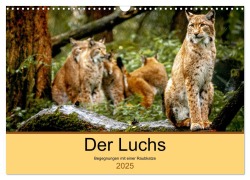 Der Luchs - Begegnungen mit einer Raubkatze (Wandkalender 2025 DIN A3 quer), CALVENDO Monatskalender - Ralf Metzger