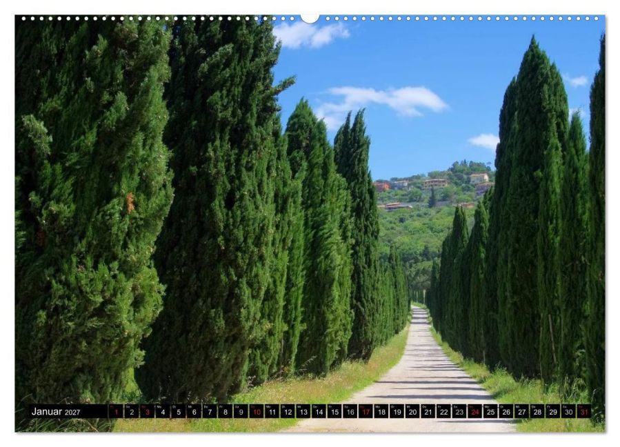InsideView 5