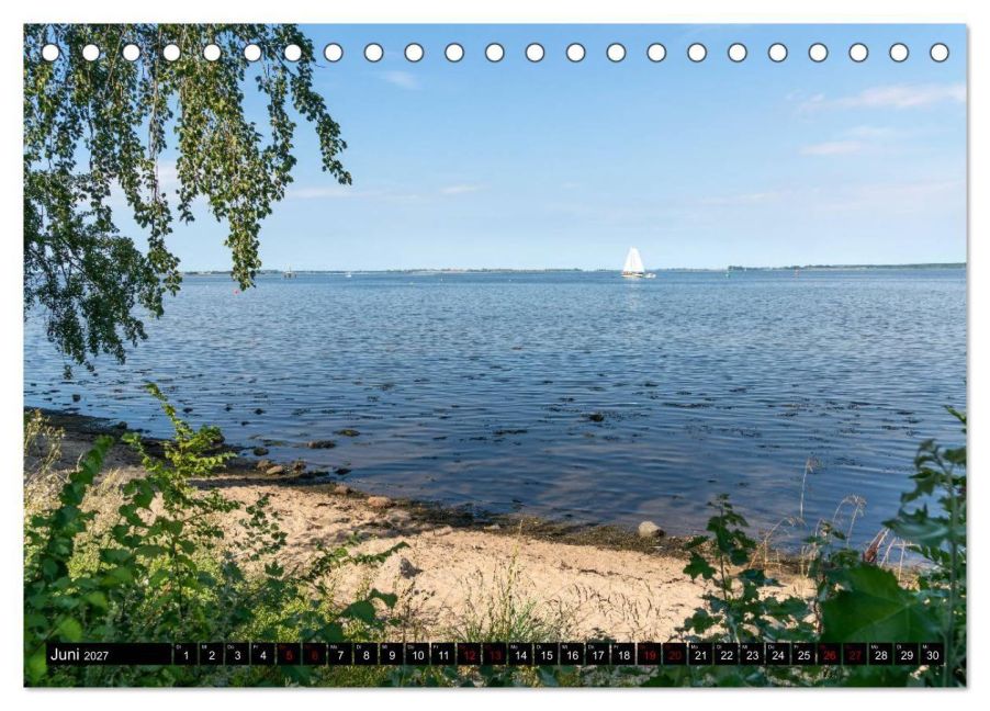 InsideView 11