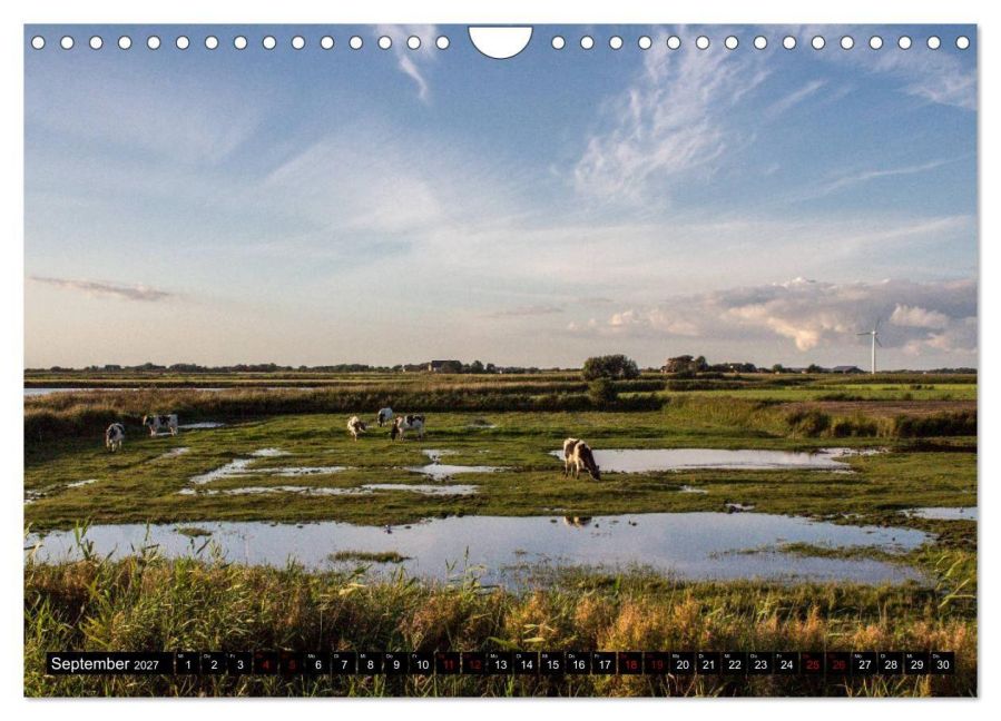 InsideView 14