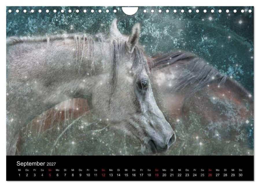 InsideView 14