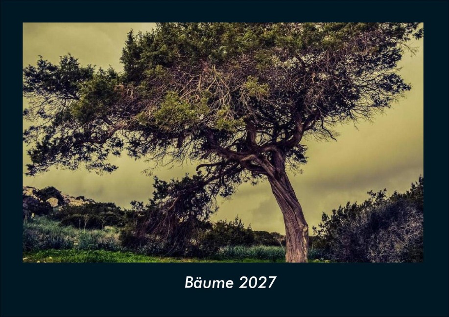 Bäume 2027 Fotokalender DIN A4 - Tobias Schmitt, Kevin Heber