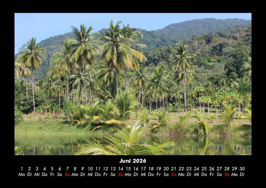 InsideView 10