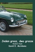 Cover-Bild zum Titel 'Jeden grosz, dwa grosze' von 'David E McAdams'