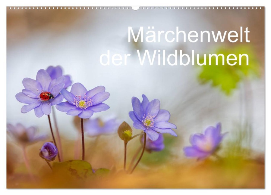 Märchenwelt der Wildblumen (Wandkalender 2026 DIN A2 quer), CALVENDO Monatskalender - Henrik Spranz