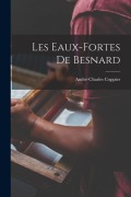 Cover-Bild zum Titel 'Les eaux-fortes de Besnard' von 'André-Charles Coppier'