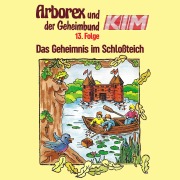 Cover-Bild zum Titel '13: Das Geheimnis im Schloßteich' von 'Fritz Hellmann, Erika Immen, Alexander Ester, Peter Thomas'