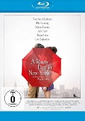 Cover-Bild zum Titel 'A Rainy Day in New York' von 'Woody Allen'