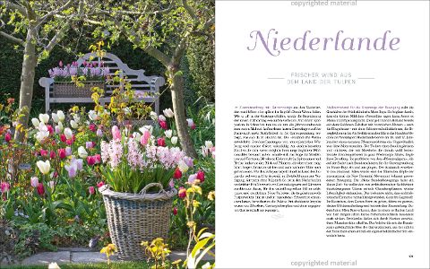 InsideView 8