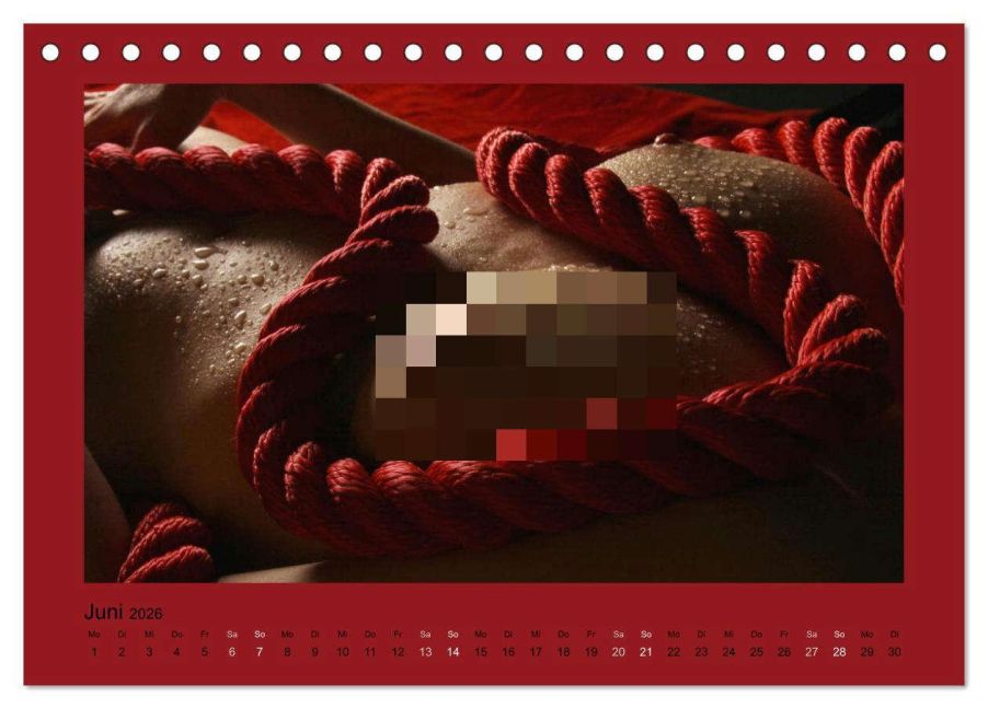 InsideView 11