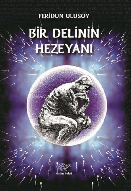 Bir Delinin Hezeyani - Feridun Ulusoy