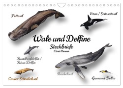 Cover-Bild zum Titel 'Wale und Delfine Steckbriefe (Wandkalender 2026 DIN A4 quer), CALVENDO Monatskalender' von 'Doris Thomas'