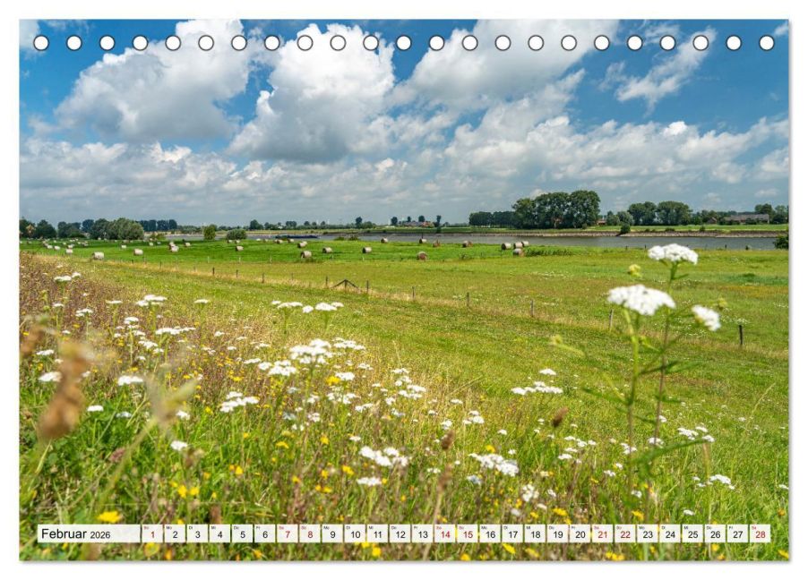 InsideView 7