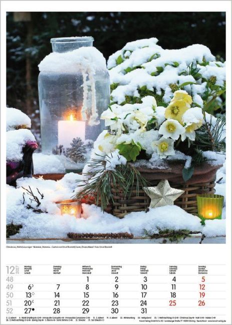 InsideView 12