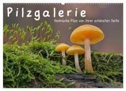 Pilzgalerie - Heimische Pilze von ihrer schönsten Seite (Wandkalender 2025 DIN A2 quer), CALVENDO Monatskalender - Beate Wurster