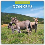 Cover-Bild zum Titel 'Donkeys - Esel 2027 - 16-Monatskalender' von 'Robin Red'