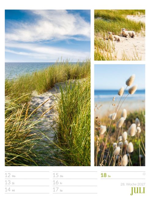 InsideView 32
