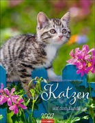 Cover-Bild zum Titel 'Katzen auf dem Lande Kalender 2027' von ''