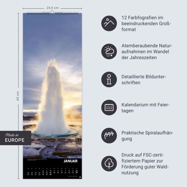 InsideView 13