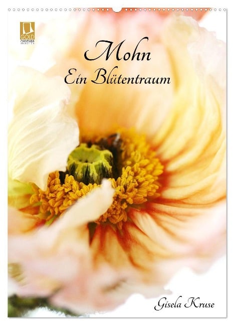 Mohn - Ein Blütentraum (Wandkalender 2025 DIN A2 hoch), CALVENDO Monatskalender - Gisela Kruse