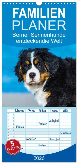 Familienplaner 2026 - Seebärchen entdecken die Welt - Berner Sennenhunde mit 5 Spalten (Wandkalender, 21 x 45 cm) CALVENDO - Sigrid Starick