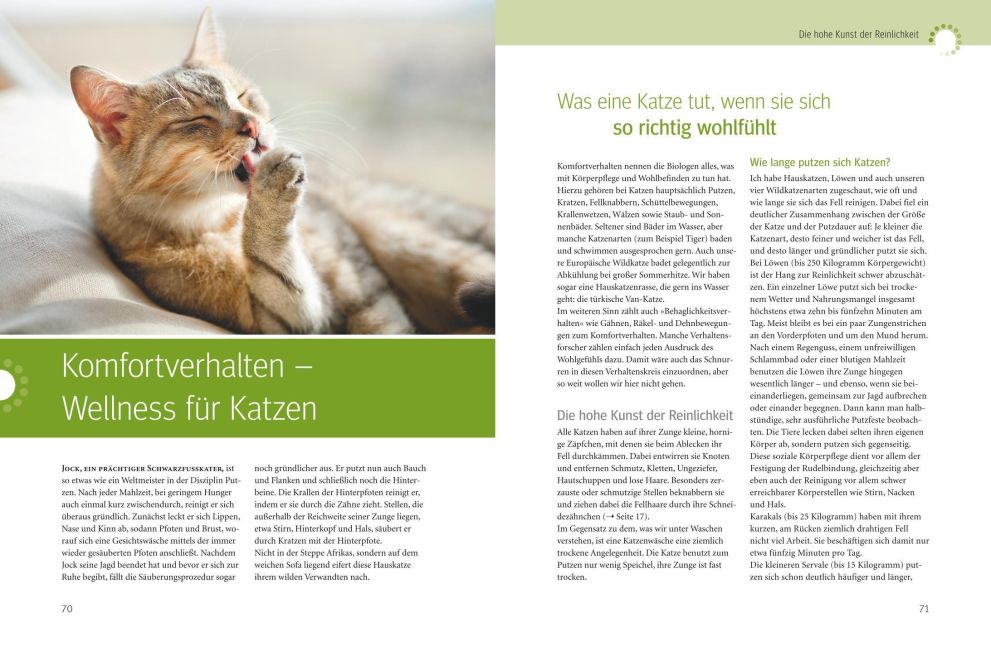 InsideView 5